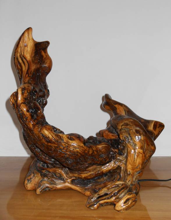 Lampada in ulivo, lampada scultorea in legno di ulivo di Vito Gurrado