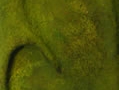 Guerriero, pittoscultura di Vito Gurrado