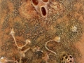 Percezioni, pittoscultura di Vito Gurrado